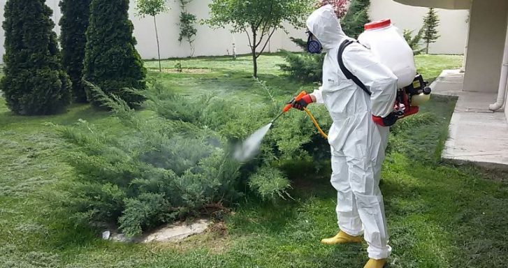 Edremit Böcek ilaçlama